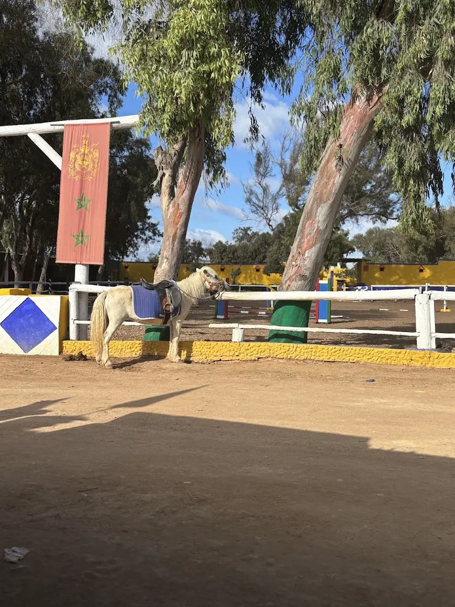 Club Equestrian Ould Jmel · Équitation · Casablanca · photo 3