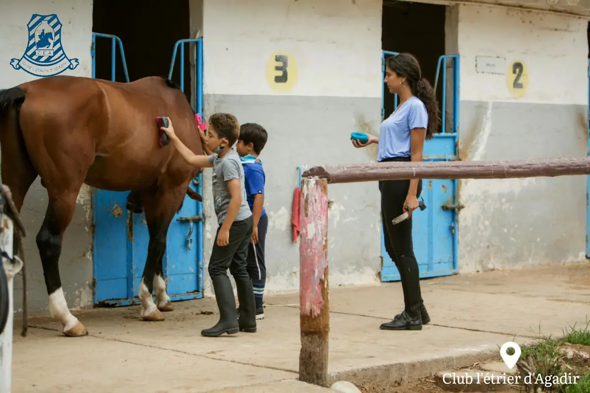 Club L'Etrier d'Agadir · Équitation · Agadir · photo 2