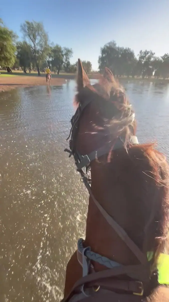 Assil CLUB · Équitation · Kénitra · photo 2