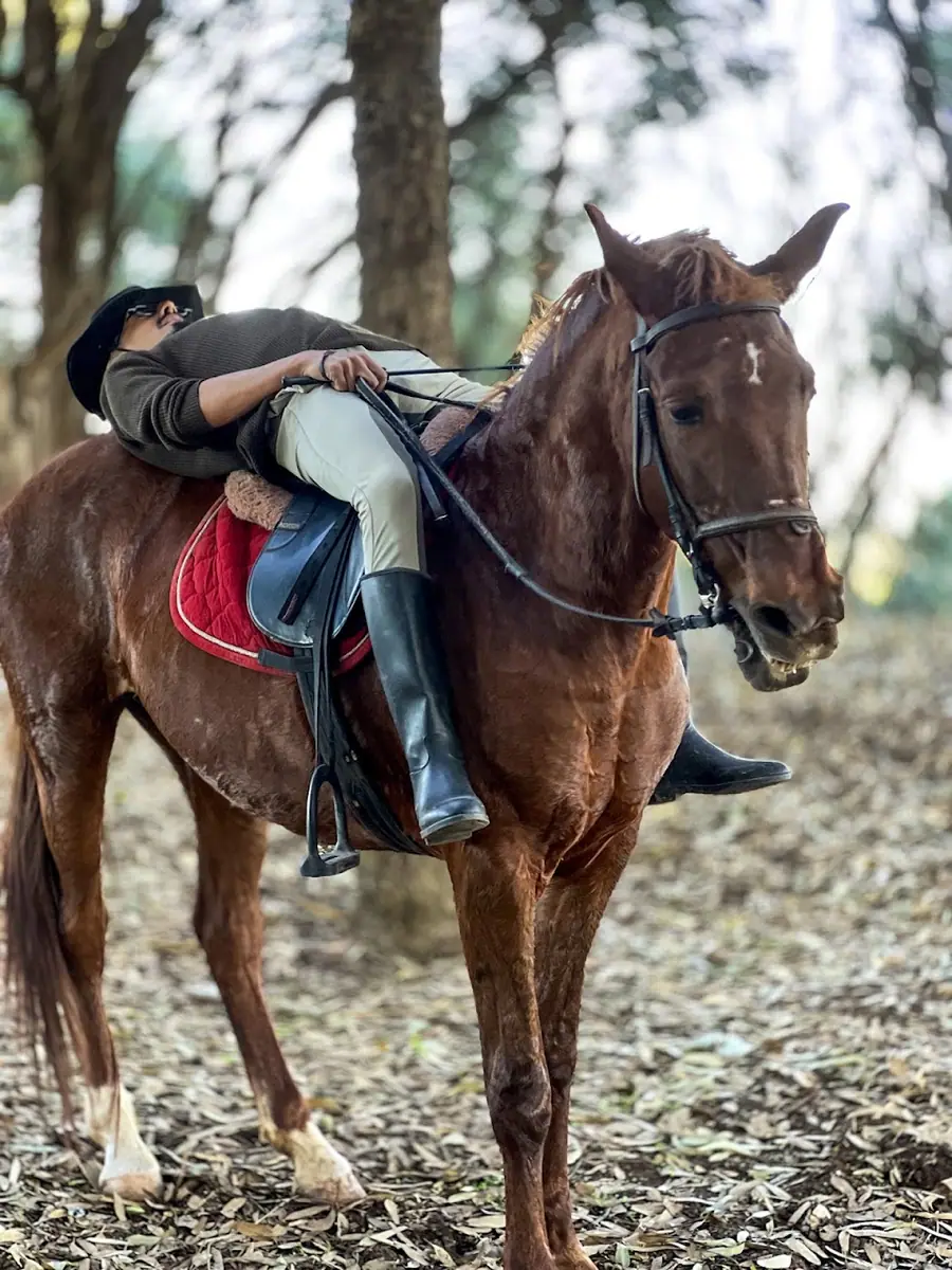 Ain gueddid horse rides · Équitation · Casablanca · photo 3