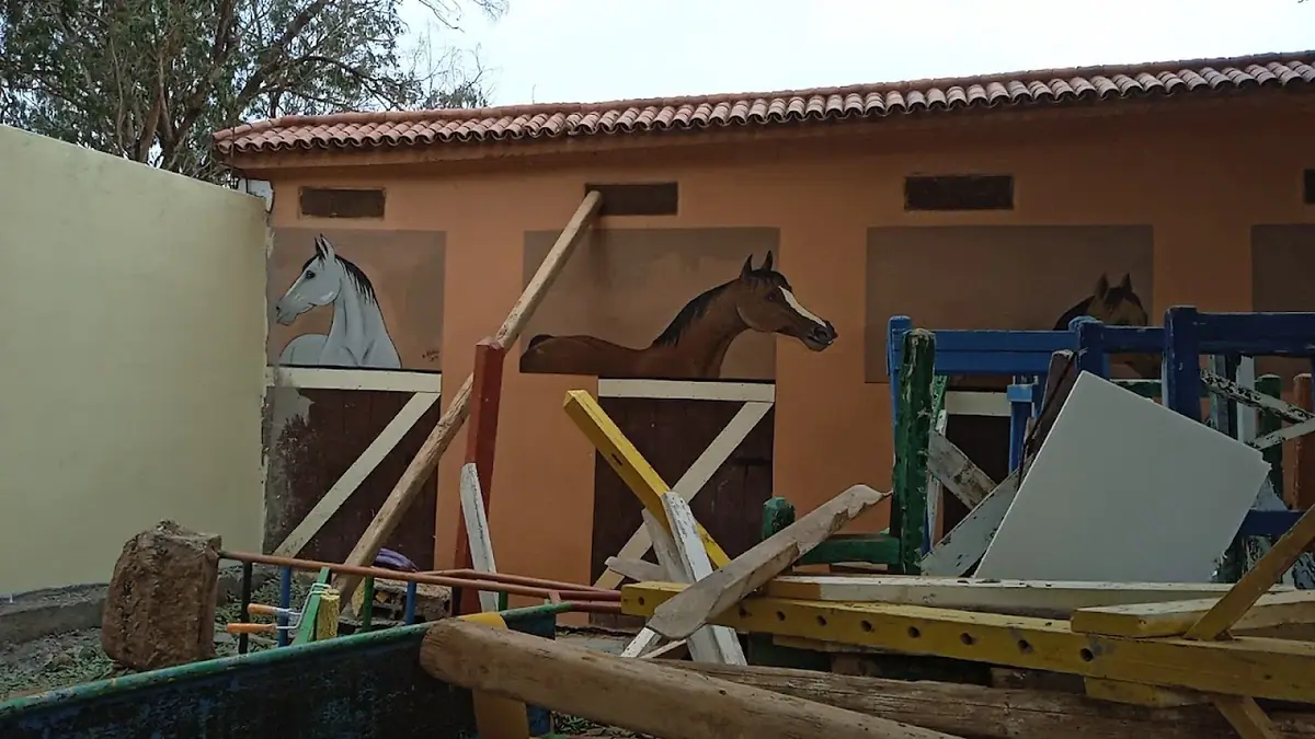 النادي الملكي للفروسية أكادير · Équitation · Agadir