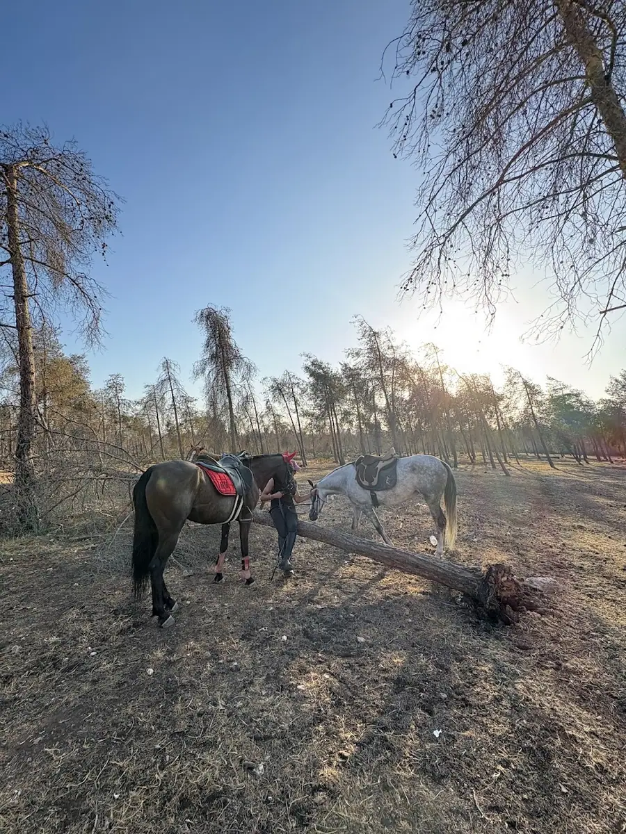 Ecurie Verte Bouskoura · Équitation · Casablanca