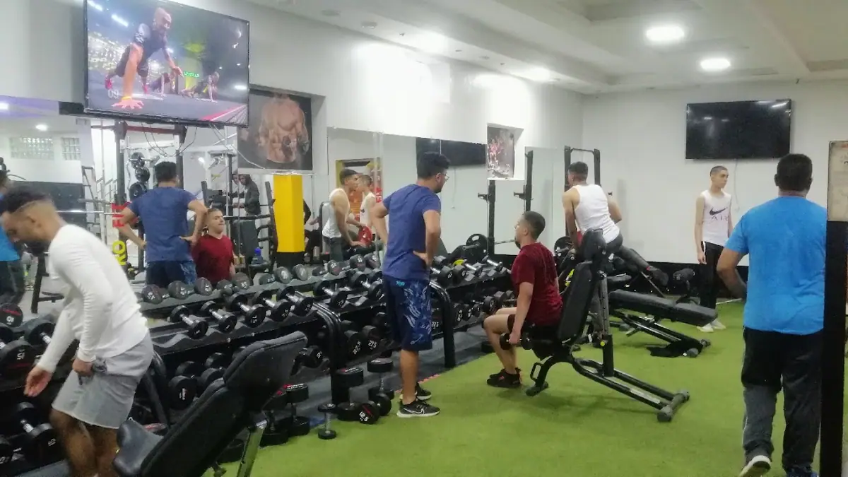 Pro'Fit · Fitness & Musculation · Kénitra