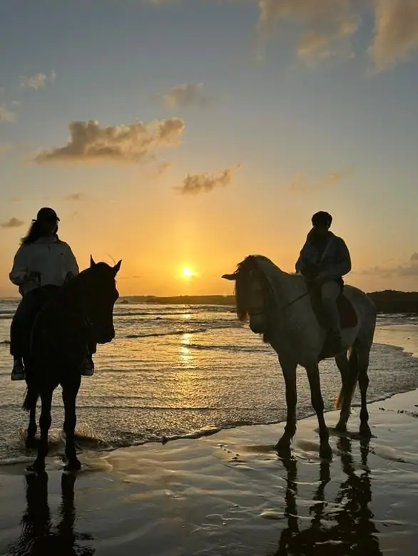 Horse tamaris · Équitation · Casablanca
