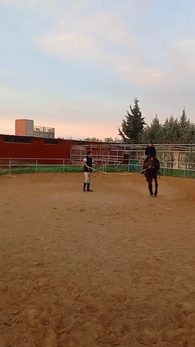 Club Al Adarissa D'équitation · Équitation · Fès · photo 2