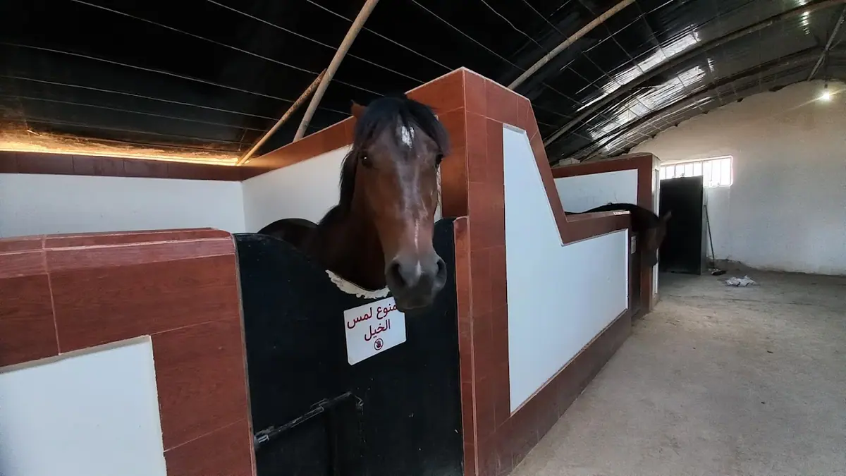 Club équestre de Nador · Équitation · Nador