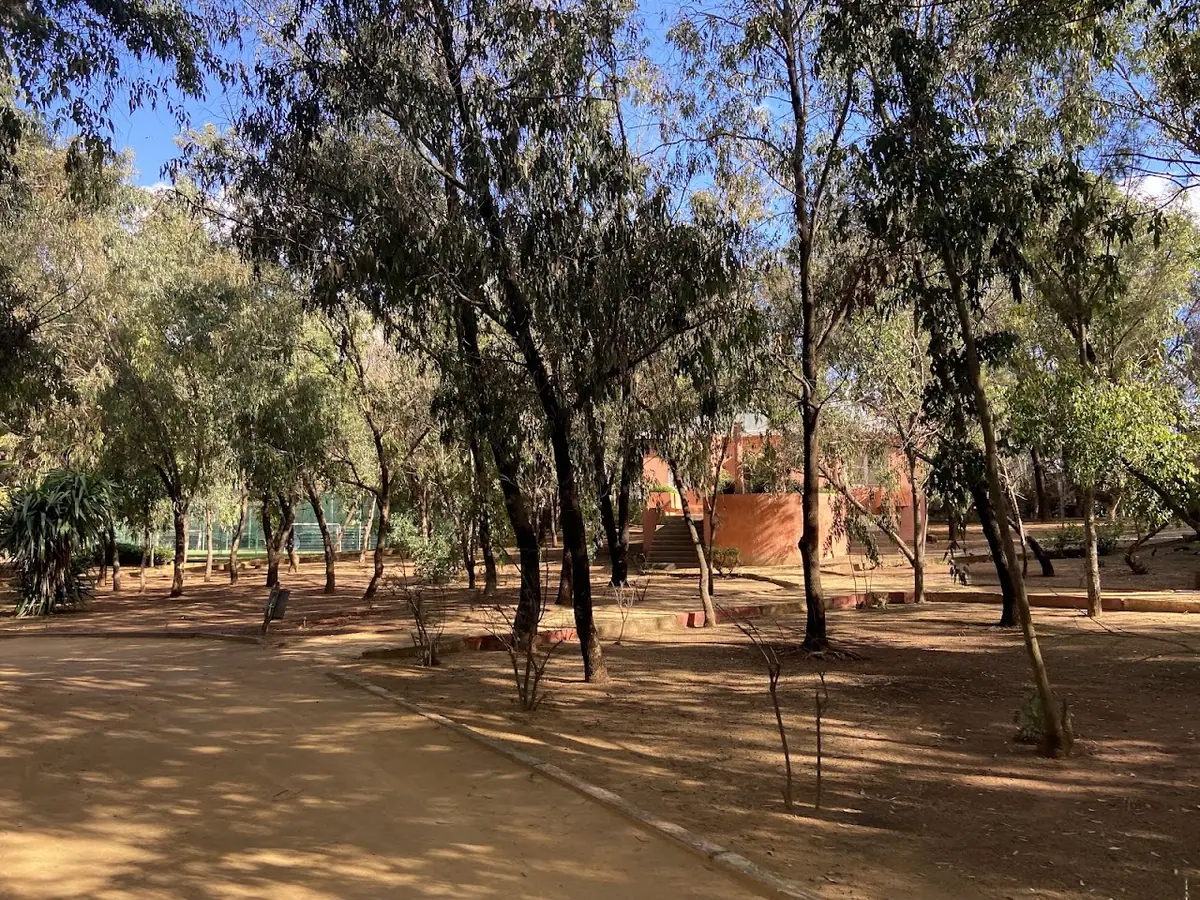 Omni Sport Club ben msick sidi othmane · Équitation · Casablanca · photo 2