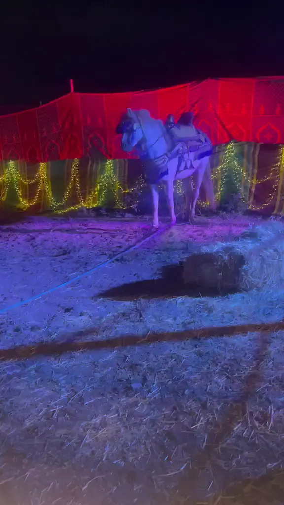 جمعية السلام للفروسية التقليدية · Équitation · Agadir