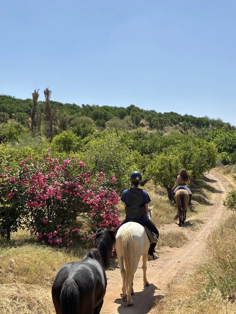 مغرييب · Équitation · Marrakech