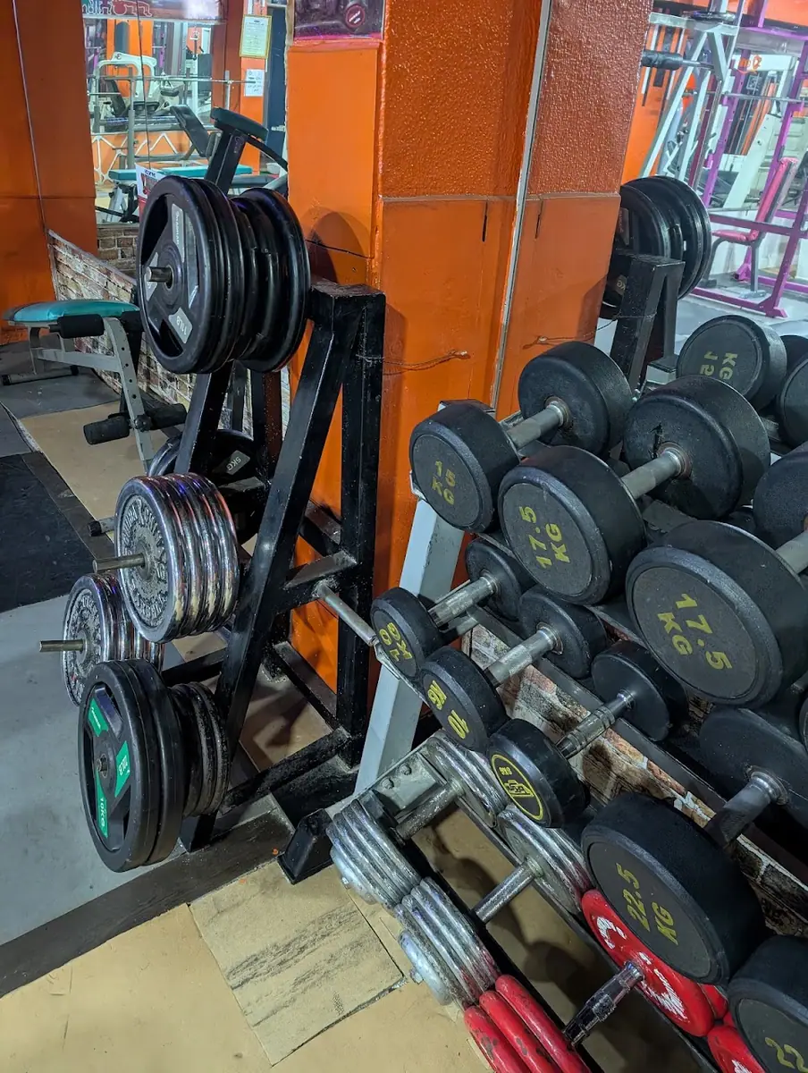 Ocean Gym (Jujitsu-Judo-Aikido) · Fitness & Musculation · Fès · photo 2