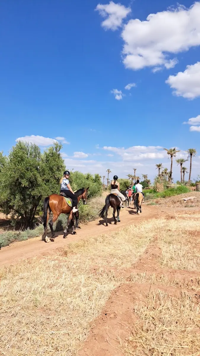 Equestre Palmeraie - Cheval Marrakech · Équitation · Marrakech