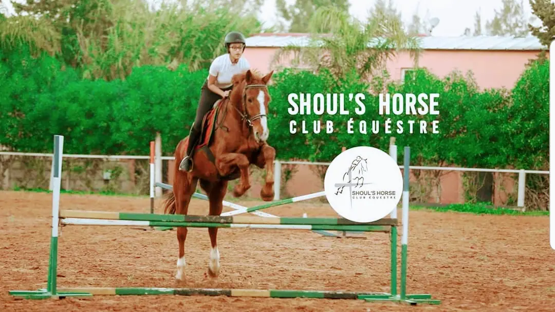 Shoul's Horse · Équitation · Rabat