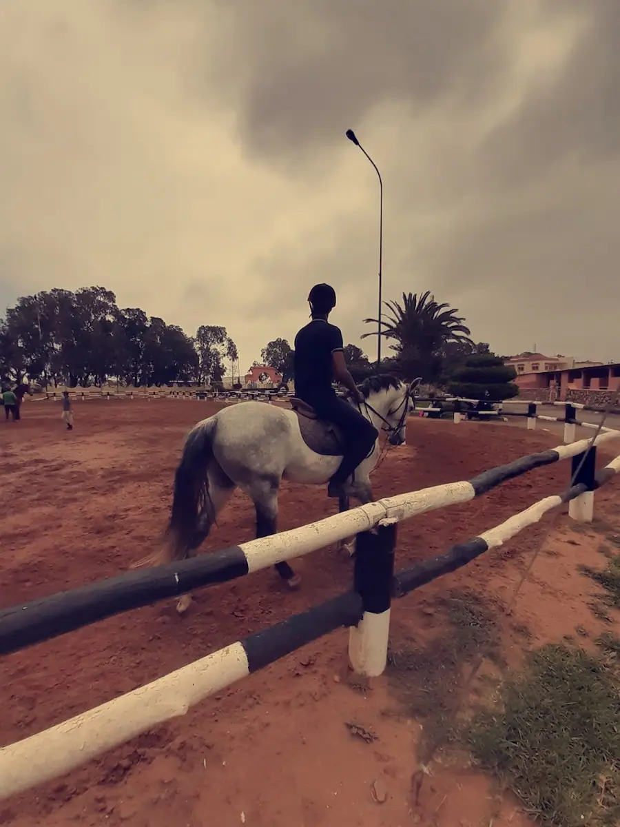 Club Equestre Des FAR · Équitation · Agadir · photo 2