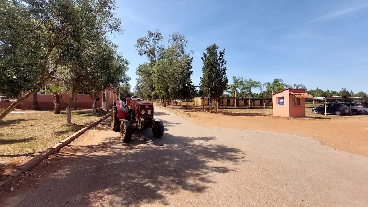 Royal Club Equestre Riyad Mohammedia · Équitation · Casablanca · photo 3