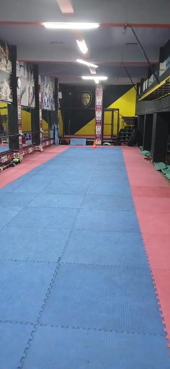 Club ATLANTA Sport MMA · Boxe · Casablanca