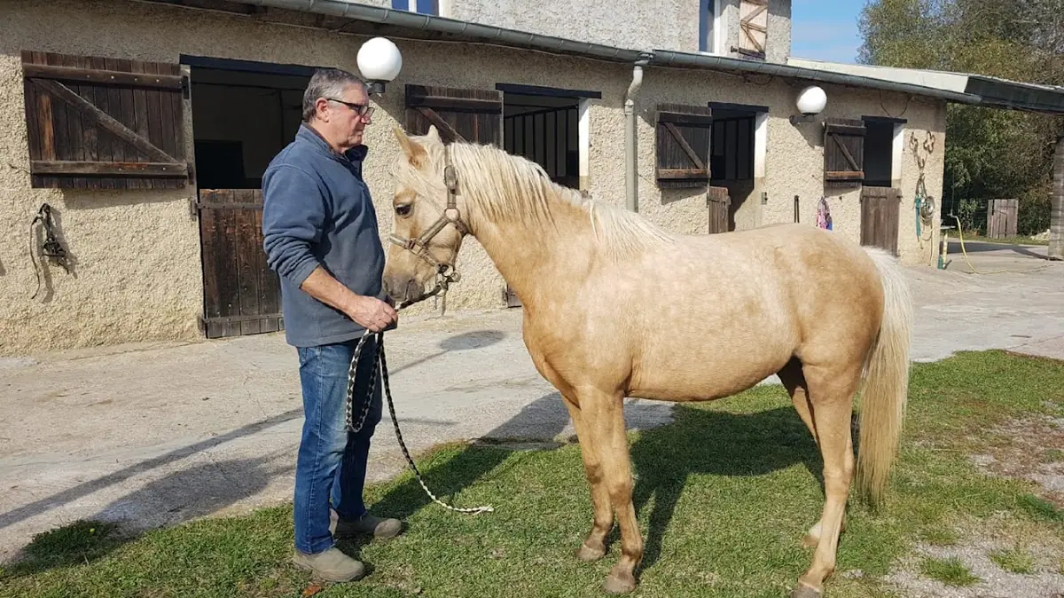 Pony Club De Rabat · Équitation · Rabat