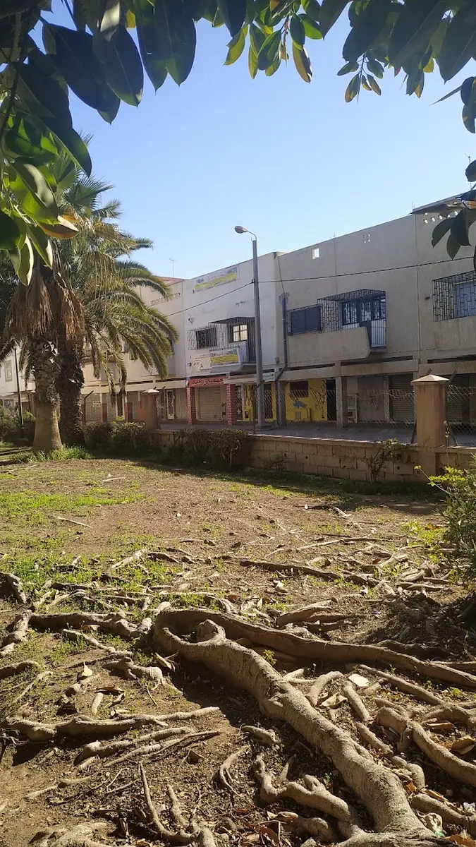 Associations ajial des arts martiaux · Arts Martiaux · Agadir · photo 2