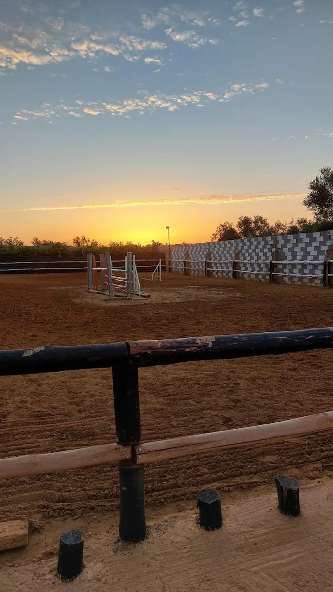 Club Ribat Al Khair D'équitation · Équitation · Meknès · photo 3