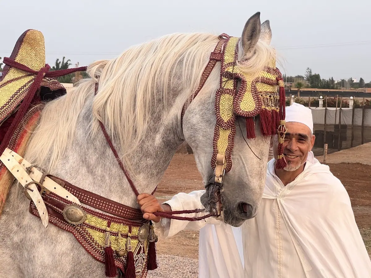 Harass Al Firdaous · Équitation · Casablanca · photo 2