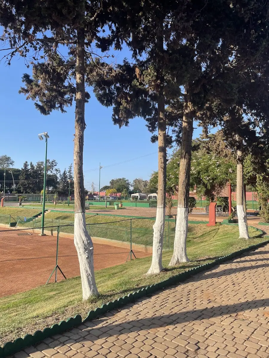 County Tennis Club of Kenitra · Tennis · Kénitra