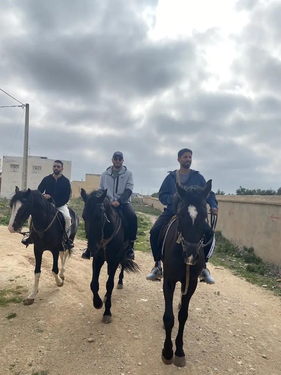 Safi-Cavaliers · Équitation · Safi
