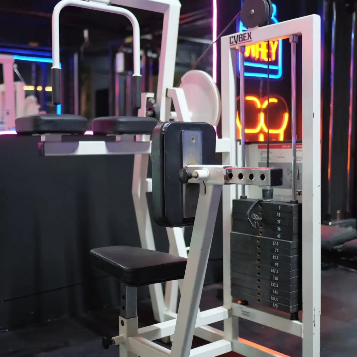 The Elite Fitness · Fitness & Musculation · Casablanca · photo 2