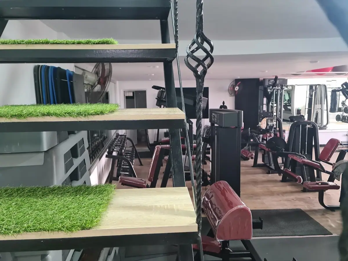 Aji Trini · Fitness & Musculation · Tétouan · photo 3