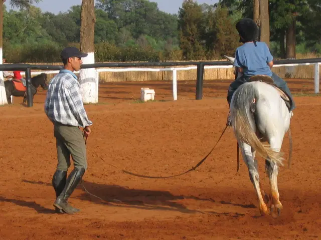 Royal Equestrian Club: · Équitation · Kénitra · photo 2