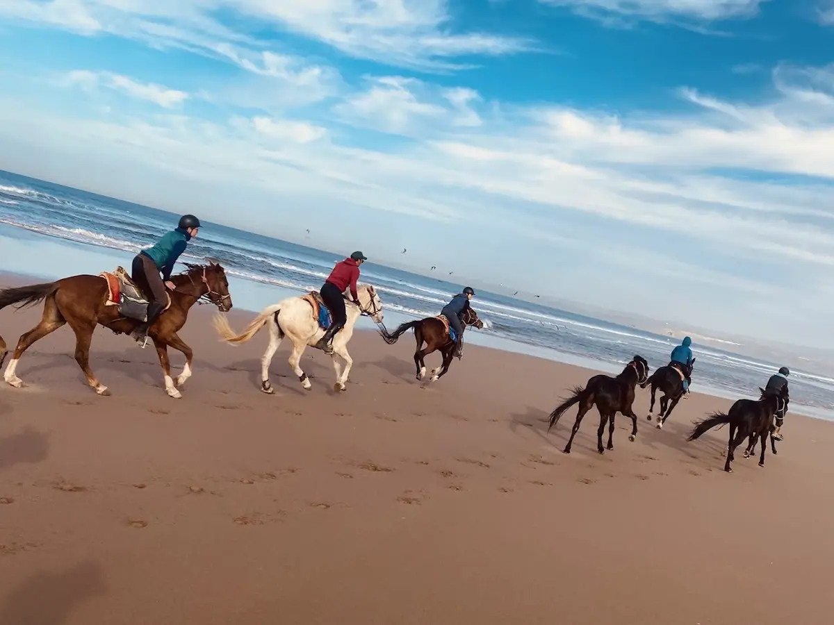 Club Farah D'équitation · Équitation · Meknès · photo 3