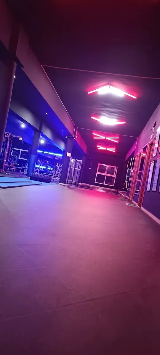 BELGAFORM fitness · Fitness & Musculation · Rabat · photo 3