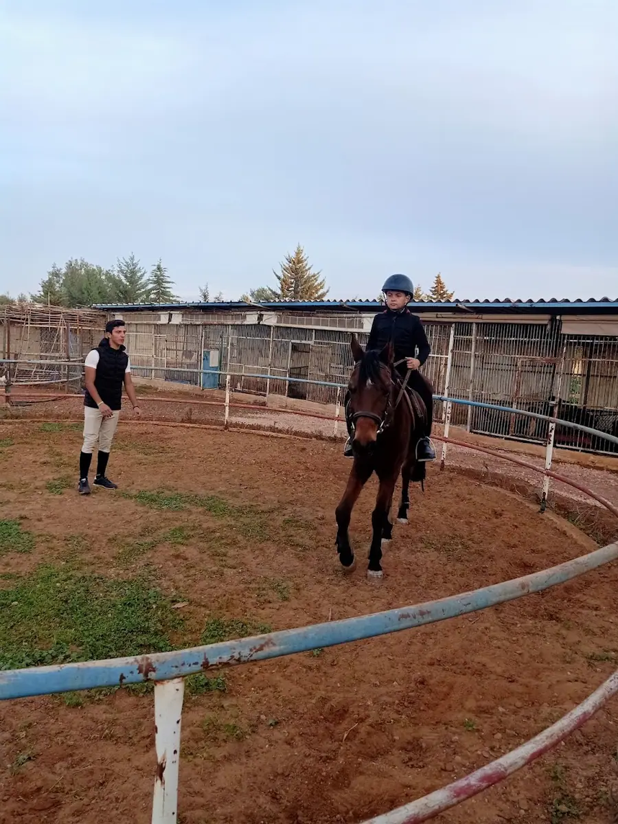 Club Al Adarissa D'équitation · Équitation · Fès