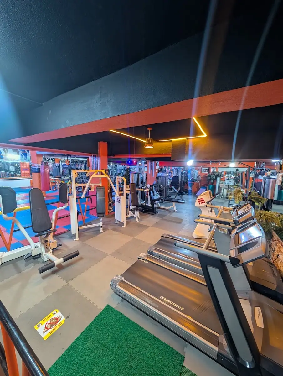 Ocean Gym (Jujitsu-Judo-Aikido) · Arts Martiaux · Fès