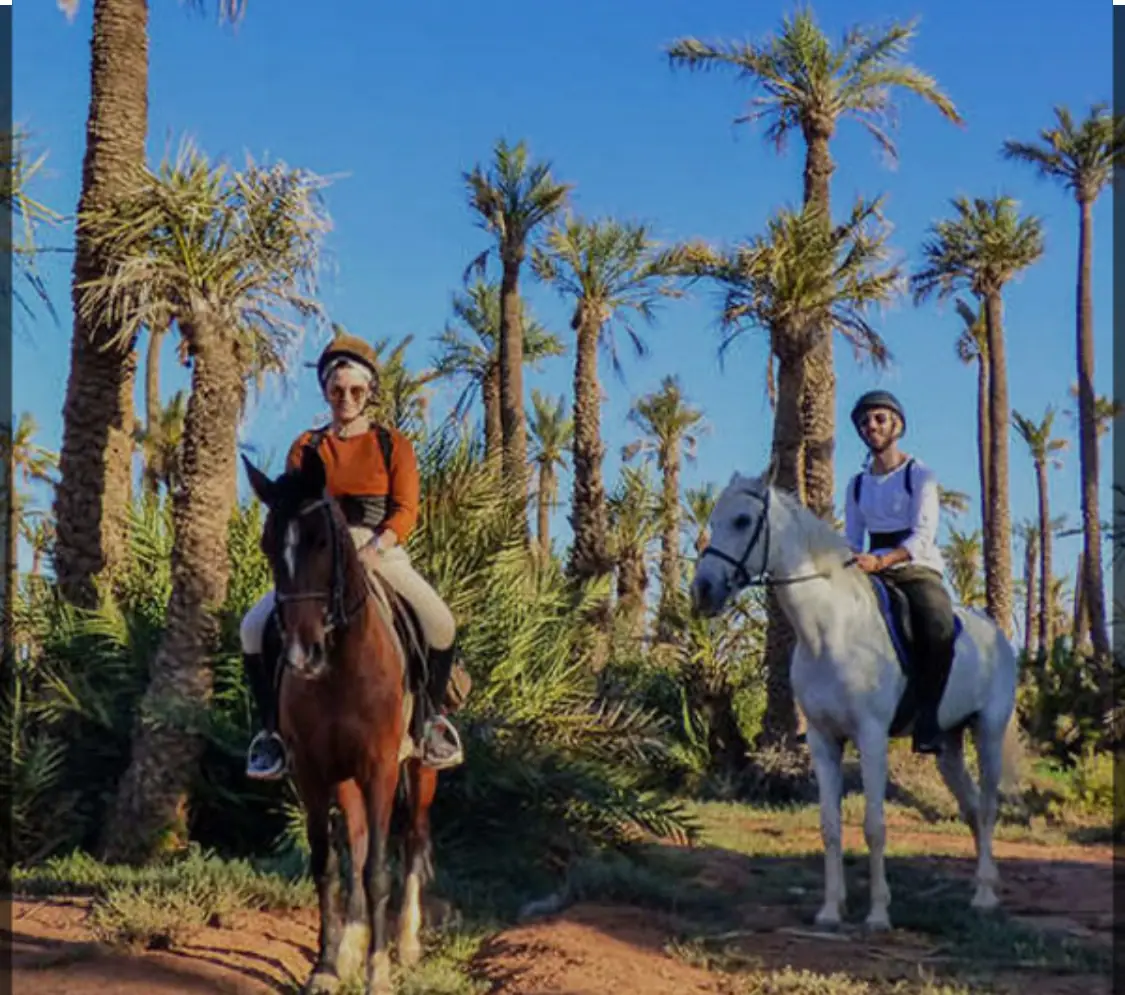 Balade Équestre Palmeraie · Équitation · Marrakech · photo 3