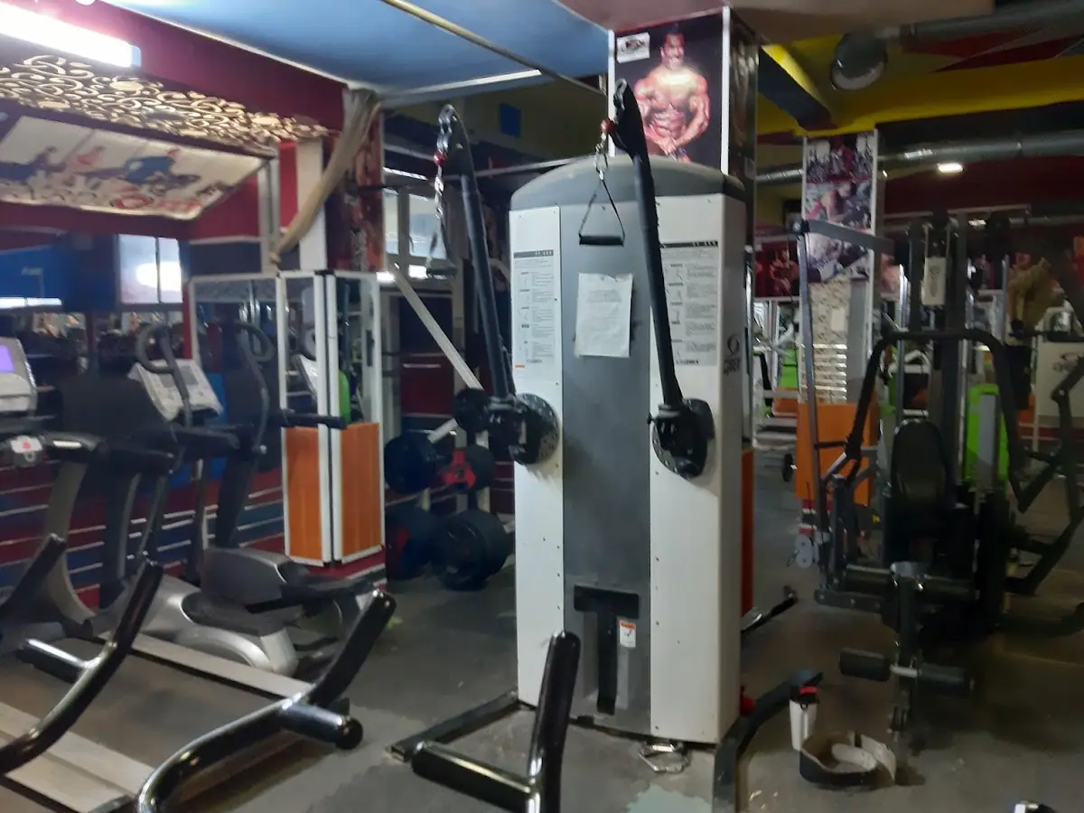 جمعية تافيلالت لبناء الجسم والفتنيس وجميع الاختصاصات · Fitness & Musculation · Fès