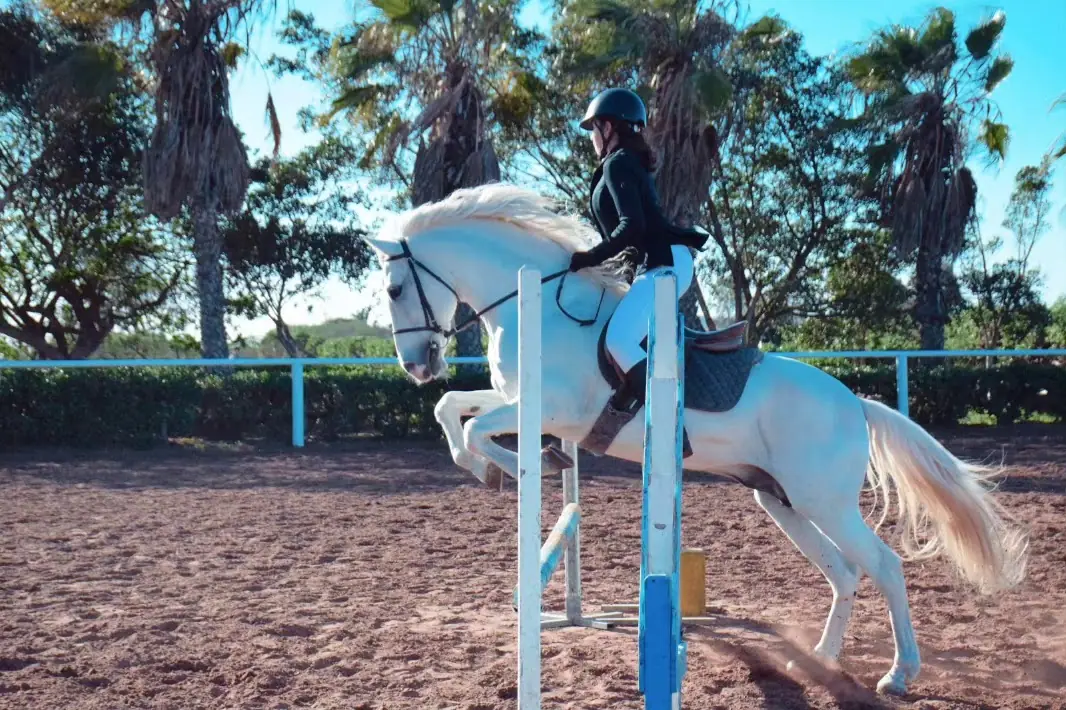 The Ferme Equestre Dar Bouazza · Équitation · Casablanca · photo 3