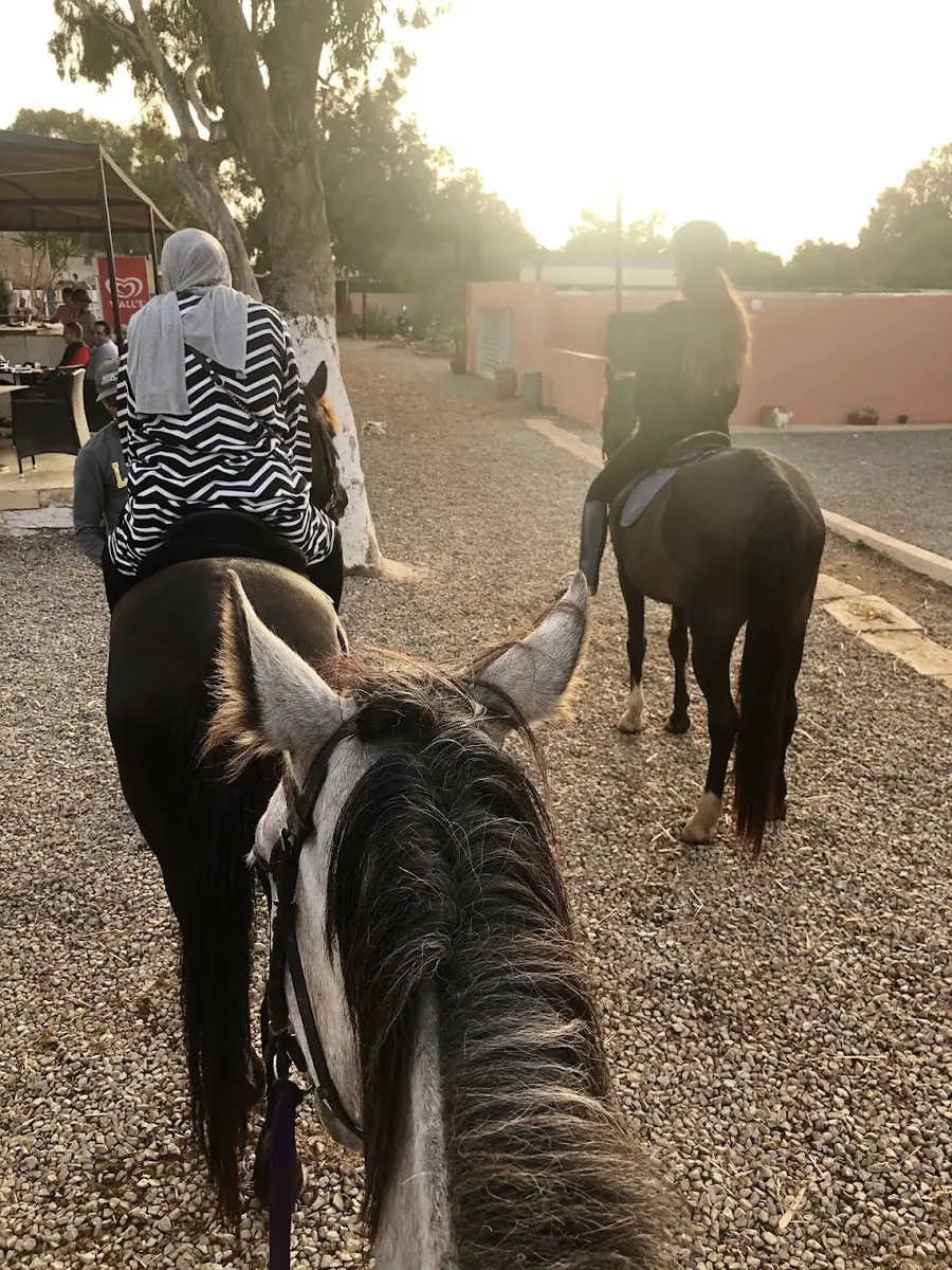 Royal Club Equestre Anfa Casablanca · Équitation · Casablanca