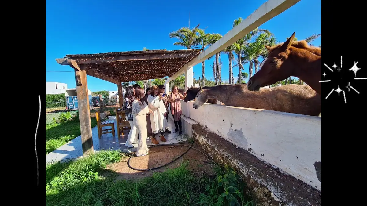 El Aaz Arabians Stud · Équitation · El Jadida · photo 2