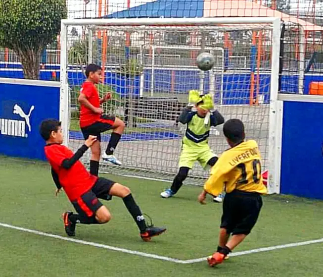 Liver foot · Football · Casablanca · photo 3