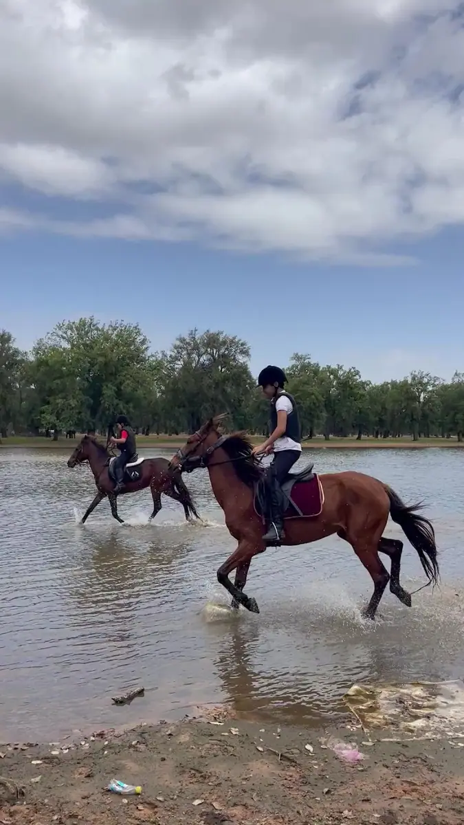 Assil CLUB · Équitation · Kénitra · photo 3