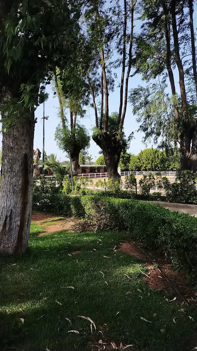 L'etrier De Casablanca · Équitation · Casablanca · photo 2