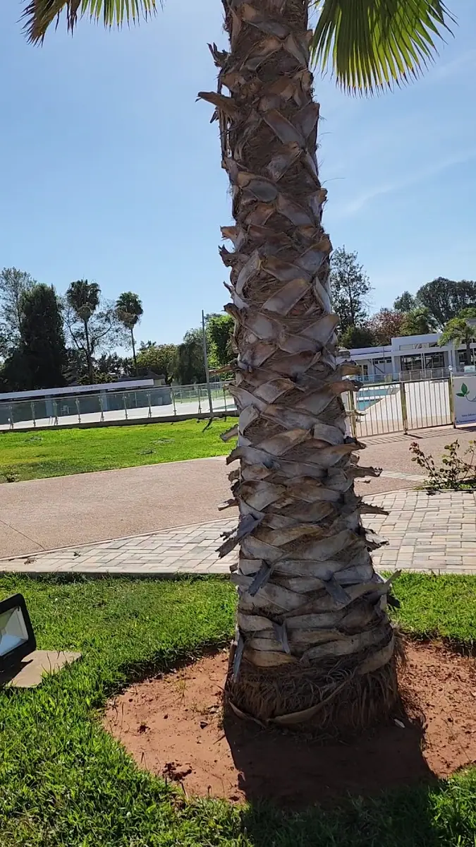 Club de l'Agriculture · Natation · Rabat · photo 2