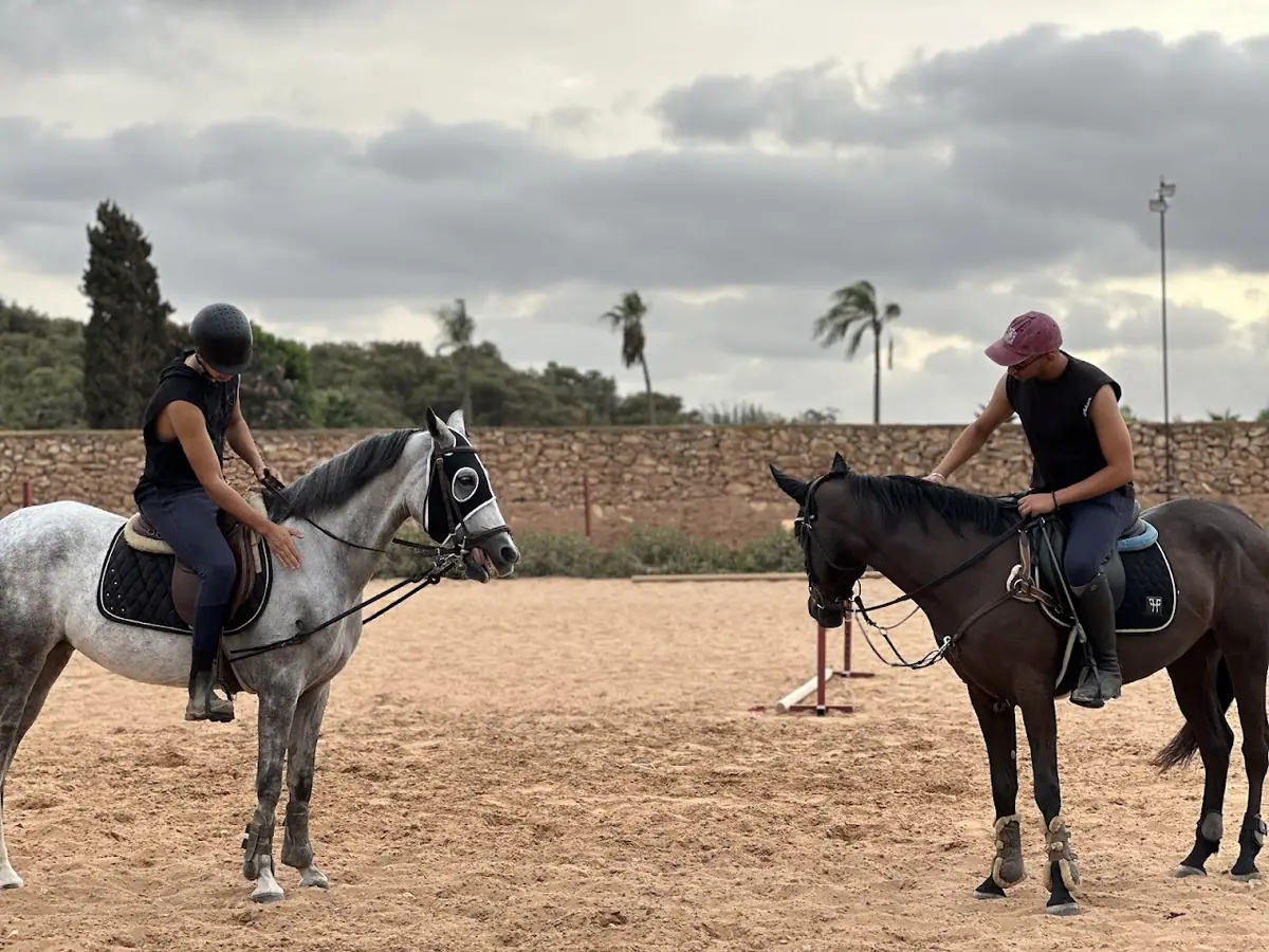 Ecurie Verte Bouskoura · Équitation · Casablanca · photo 2
