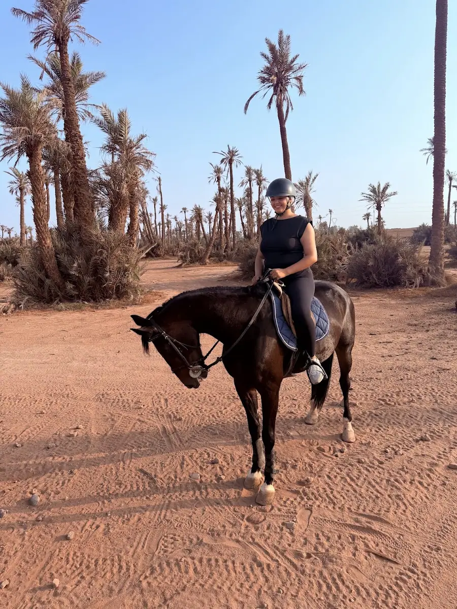 Club equestre Elnakhil · Équitation · Marrakech