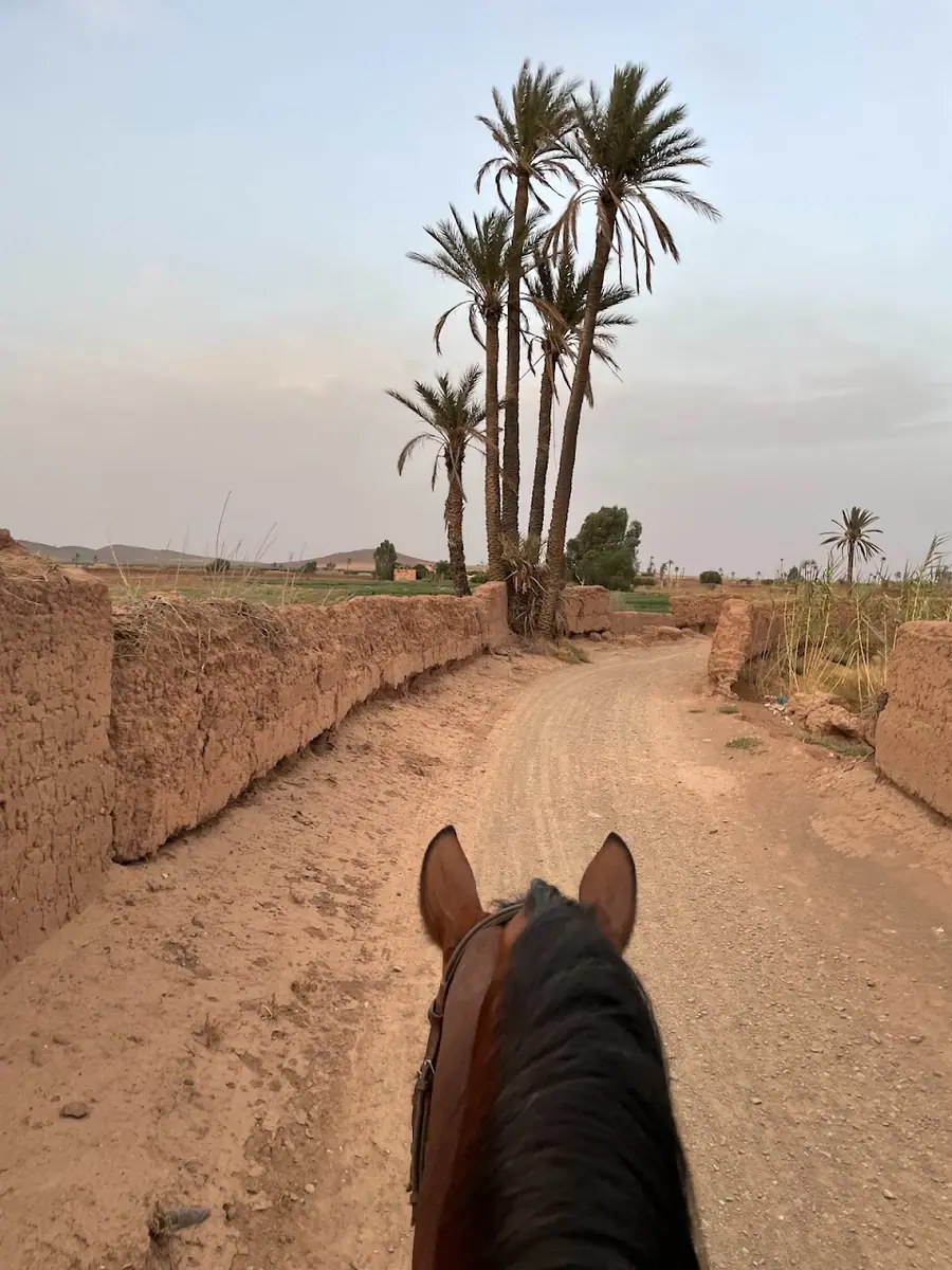 Sunset Horse Ranch · Équitation · Marrakech