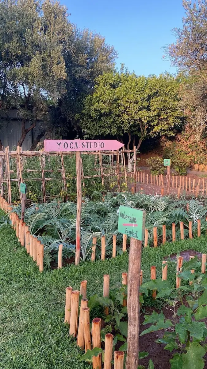 Ifoulki Yoga · Yoga & Pilates · Marrakech · photo 2