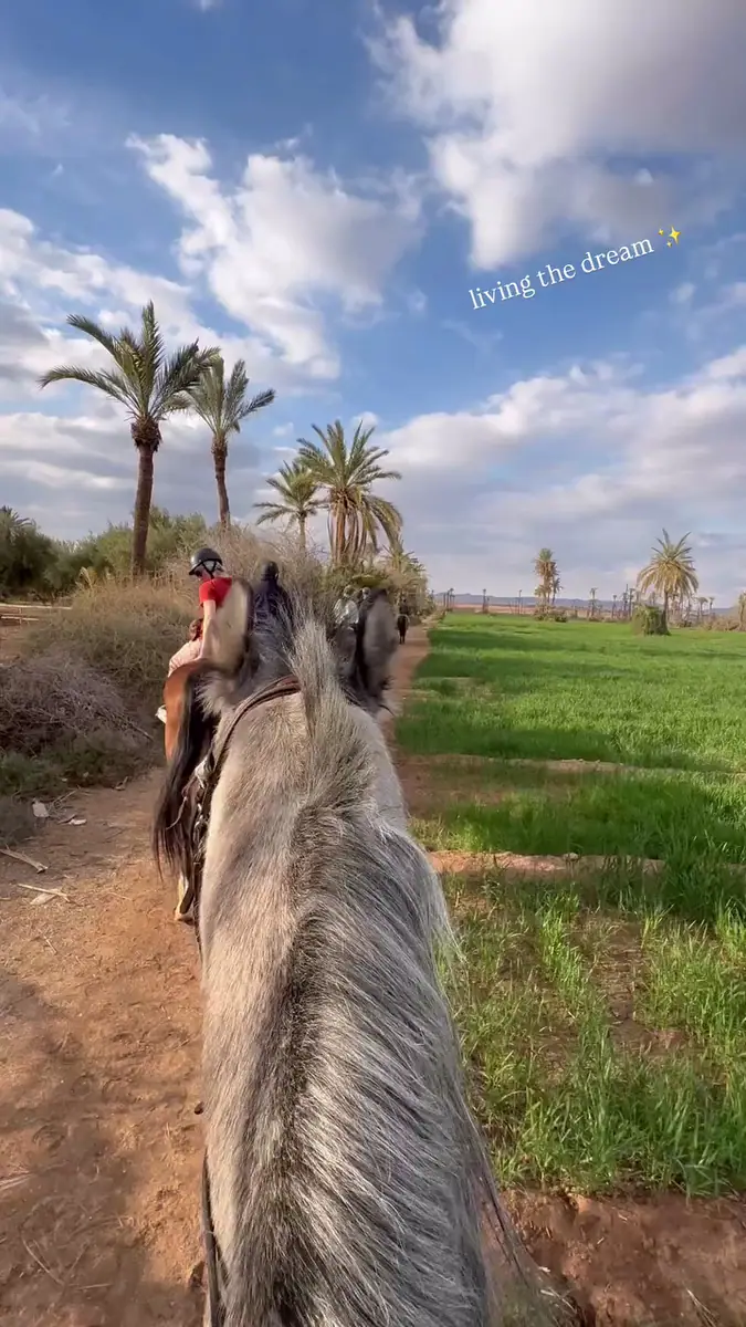 Equitation Cheval Marrakech - Horseback Riding Palmeraie · Équitation · Marrakech · photo 3