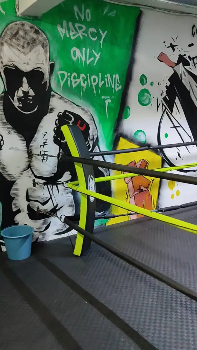Salle de Boxe, MMA · Boxe · Casablanca · photo 2