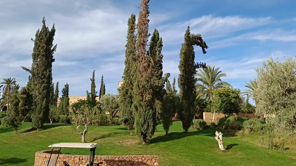 Assoufid Golf Club · Golf · Marrakech · photo 2