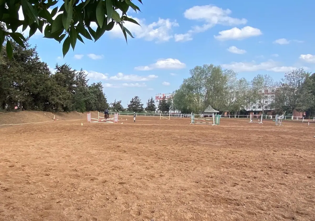Royal Club Equestre du Lac · Équitation · Rabat · photo 3