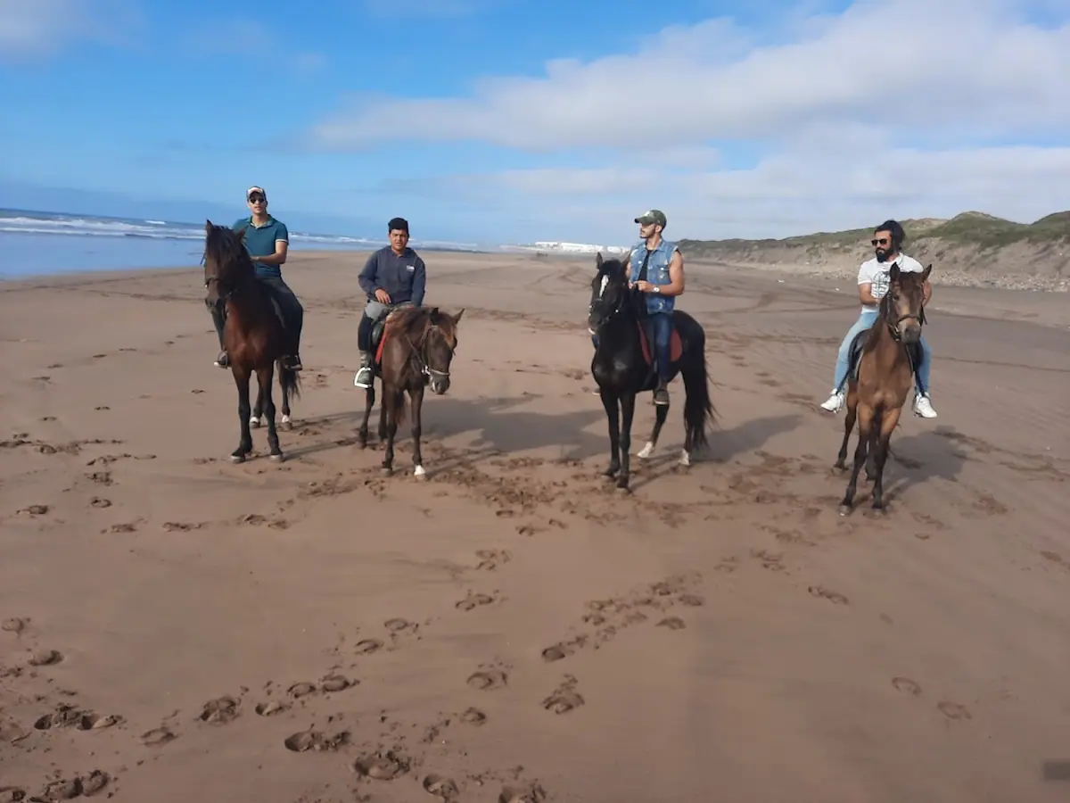 Centre L'étalon noir · Équitation · Casablanca · photo 2